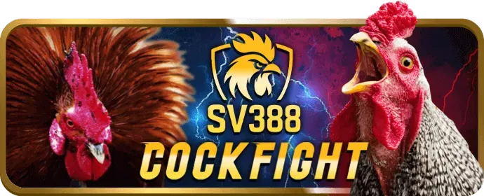 Người chơi sử dụng điện thoại để trải nghiệm casino trực tuyến vb88 nhà cái
